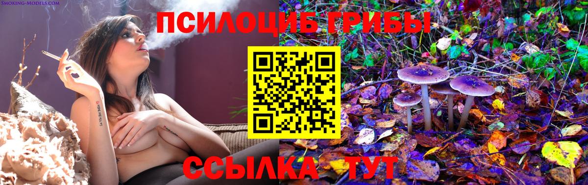 Избербаш  Галлюциногенные грибы мицелий  Псилоцибиновые грибы мицелий  где продают   Вход с VPN 